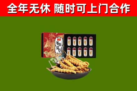 宣城回收冬虫夏草价格