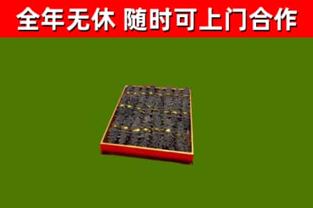 宣城回收海参